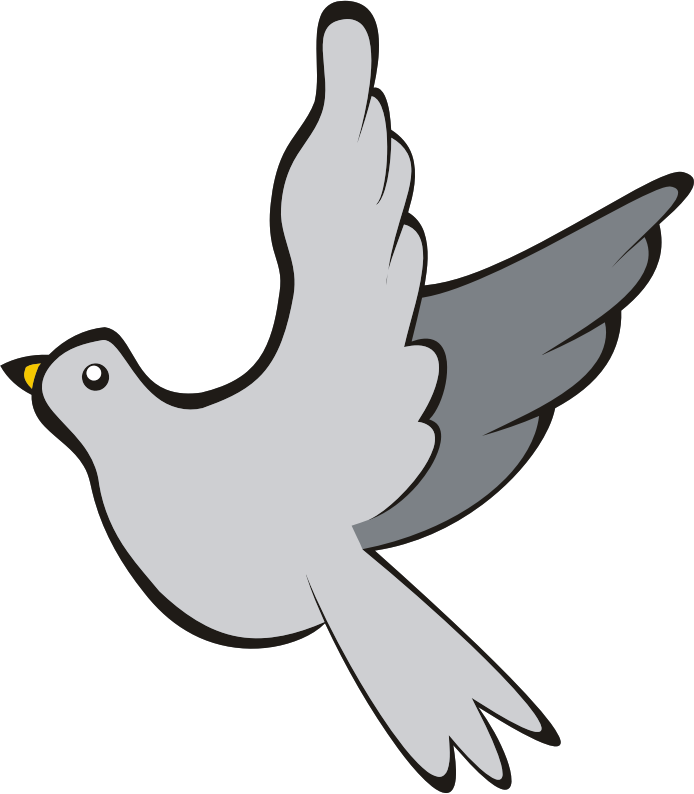 Columbidae Pigeon Free Photo PNG Image