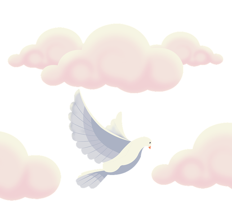 Flying Pigeon Peace Free Transparent Image HQ PNG Image