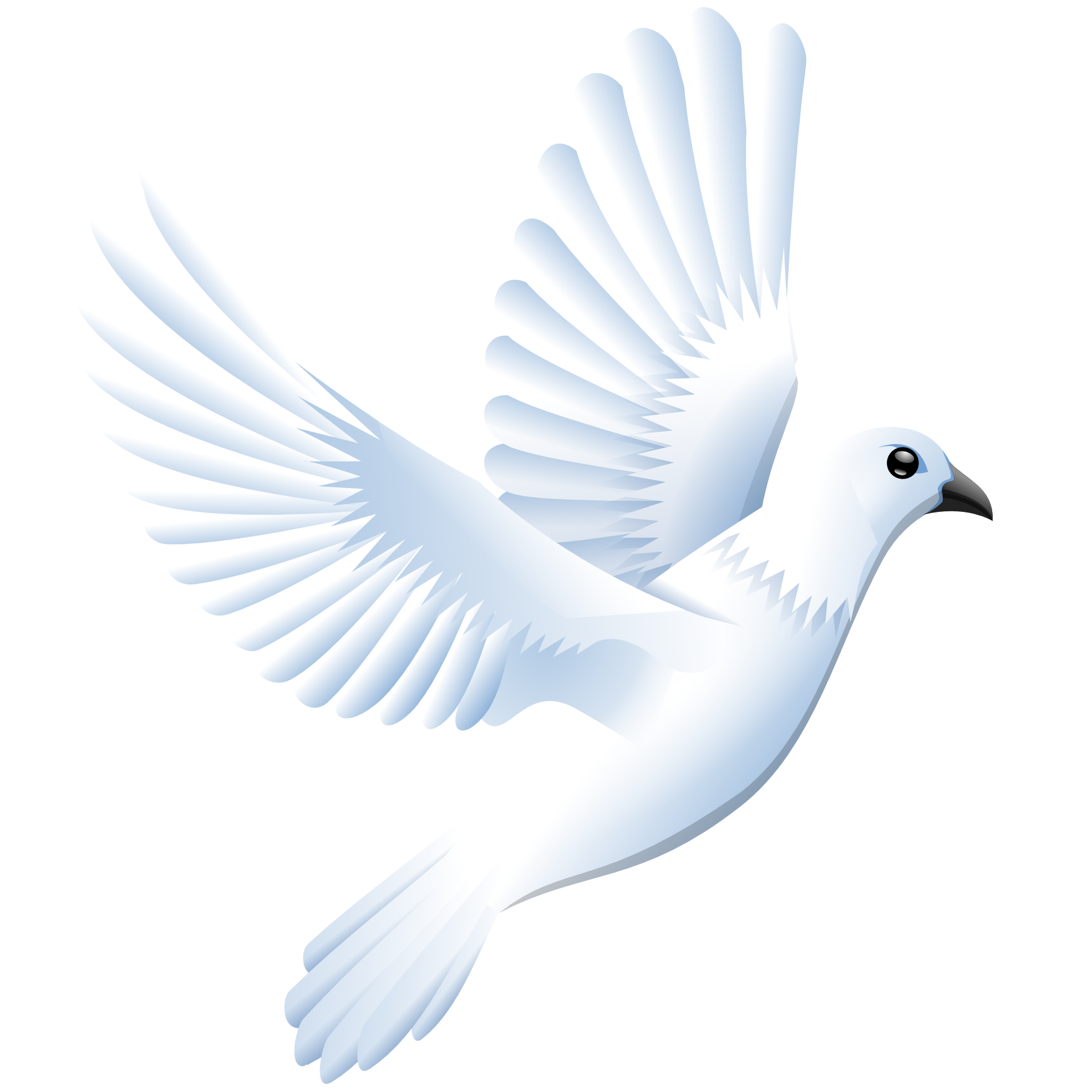 Flying Pigeon Peace Free Transparent Image HQ PNG Image