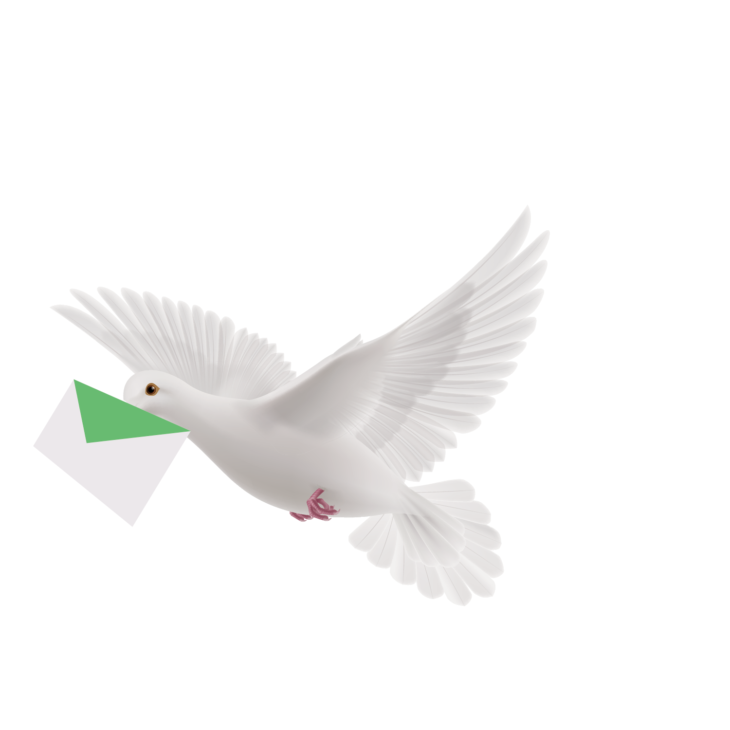 Flying Pigeon Peace HQ Image Free PNG Image