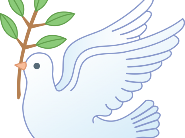 Picture Peace Pigeon Free Clipart HQ PNG Image