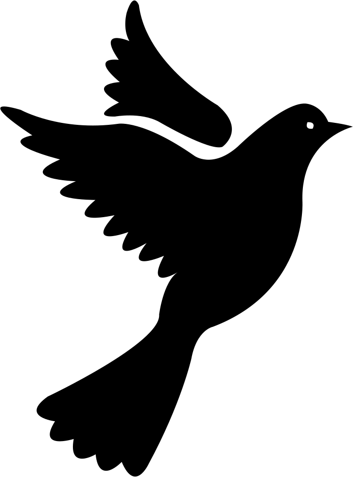 Vector Pigeon Peace Download HD PNG Image