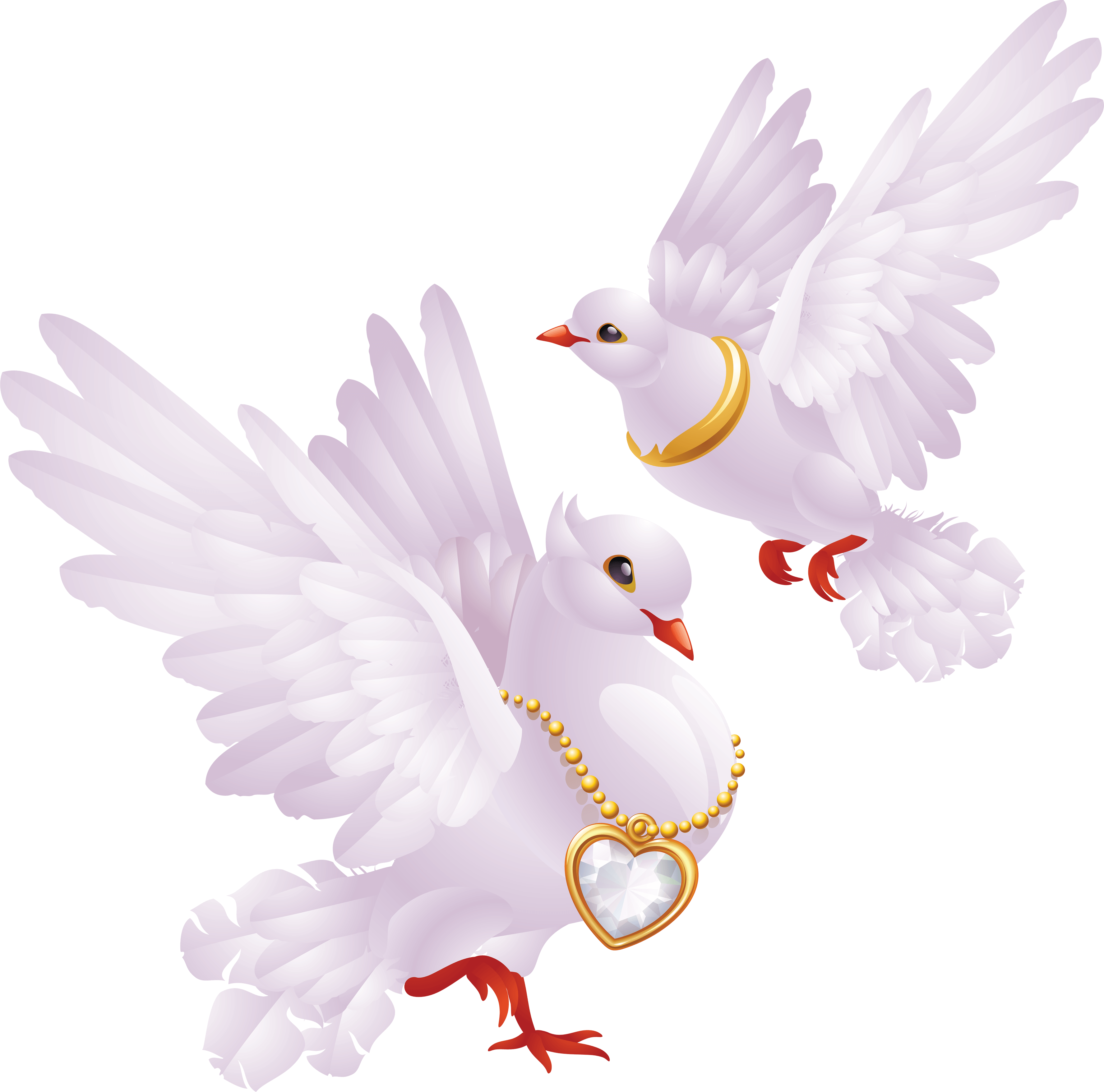Pigeon Wedding Free Clipart HQ PNG Image