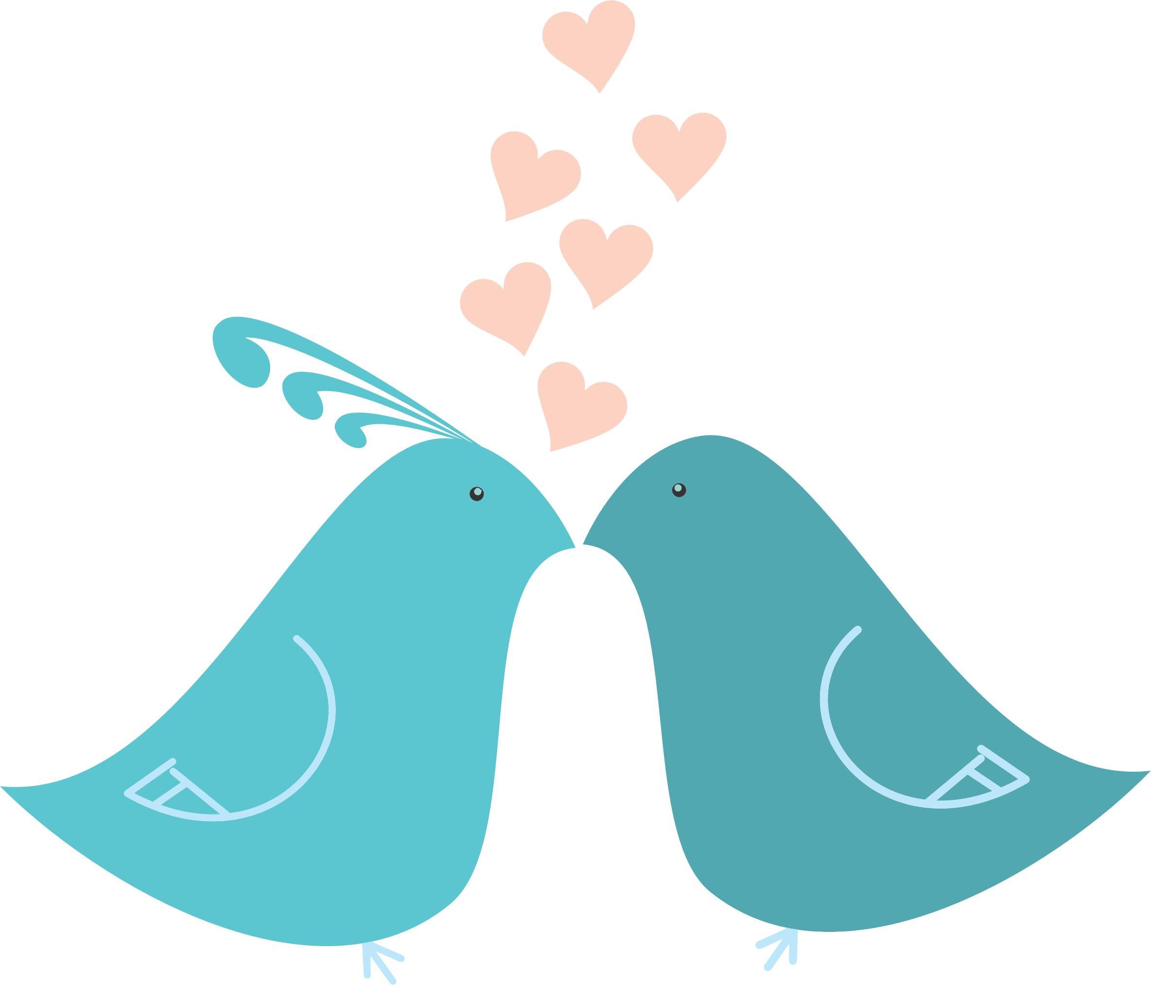 Pigeon Wedding Free Download Image PNG Image