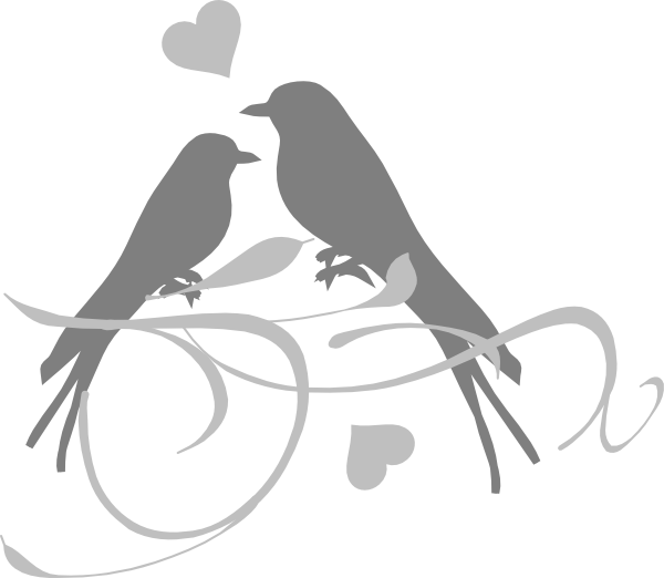 Pigeon Wedding Free Download Image PNG Image