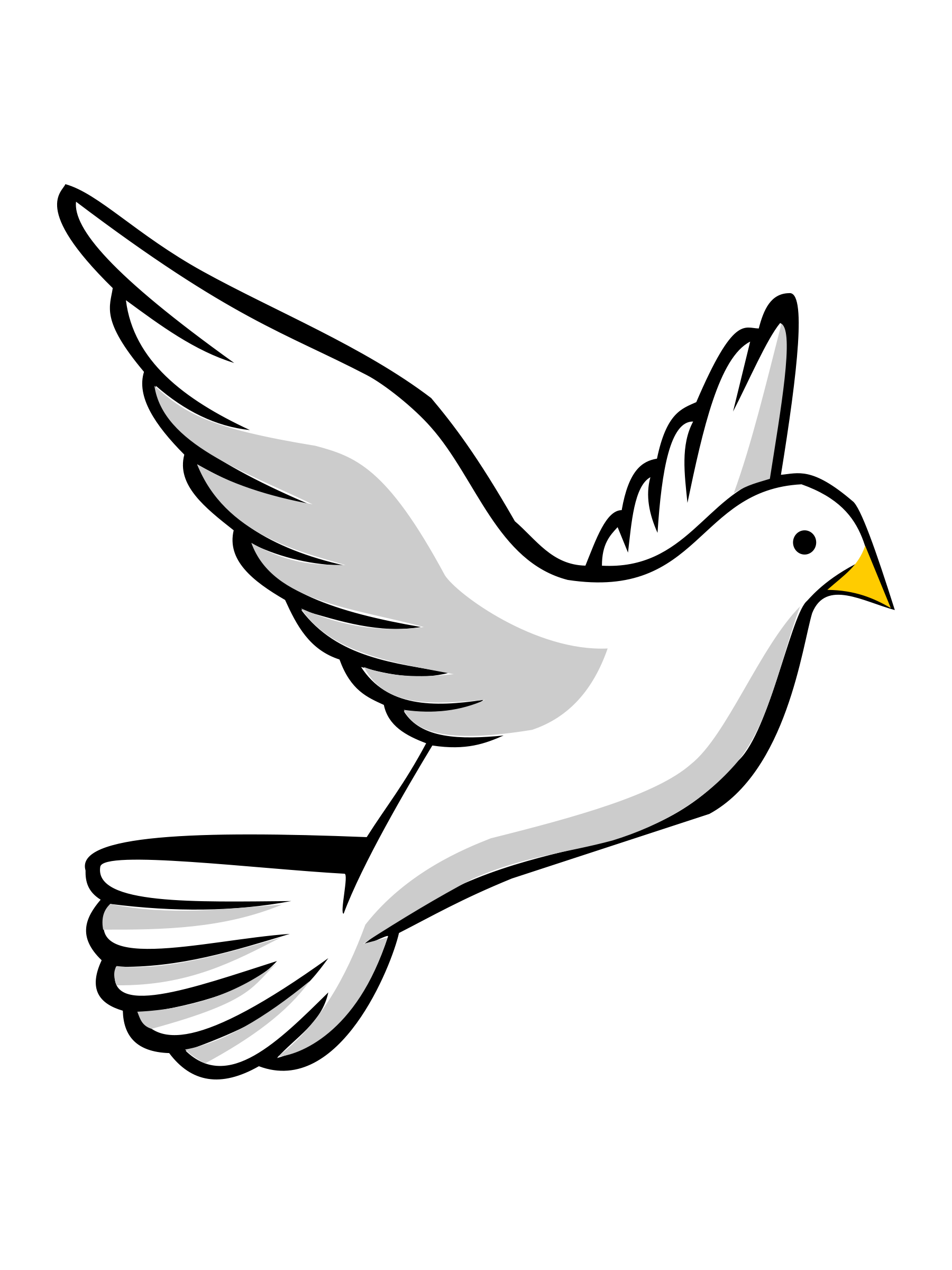White Pigeon Download HQ PNG Image