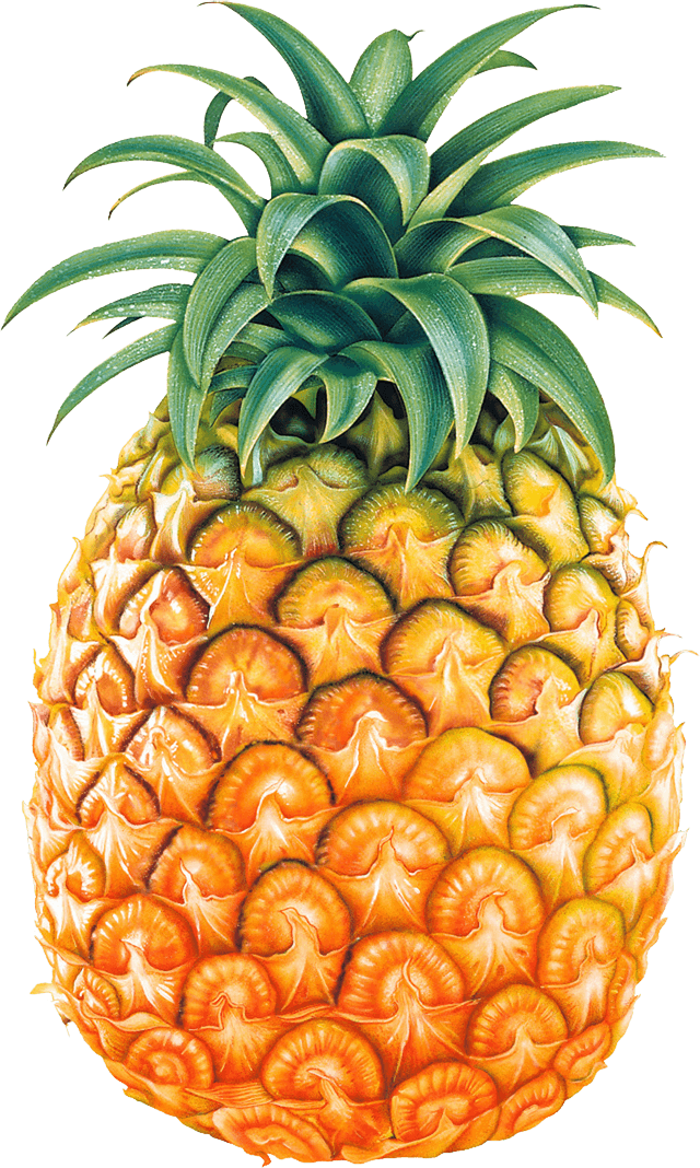 Pineapple Png Image Download PNG Image