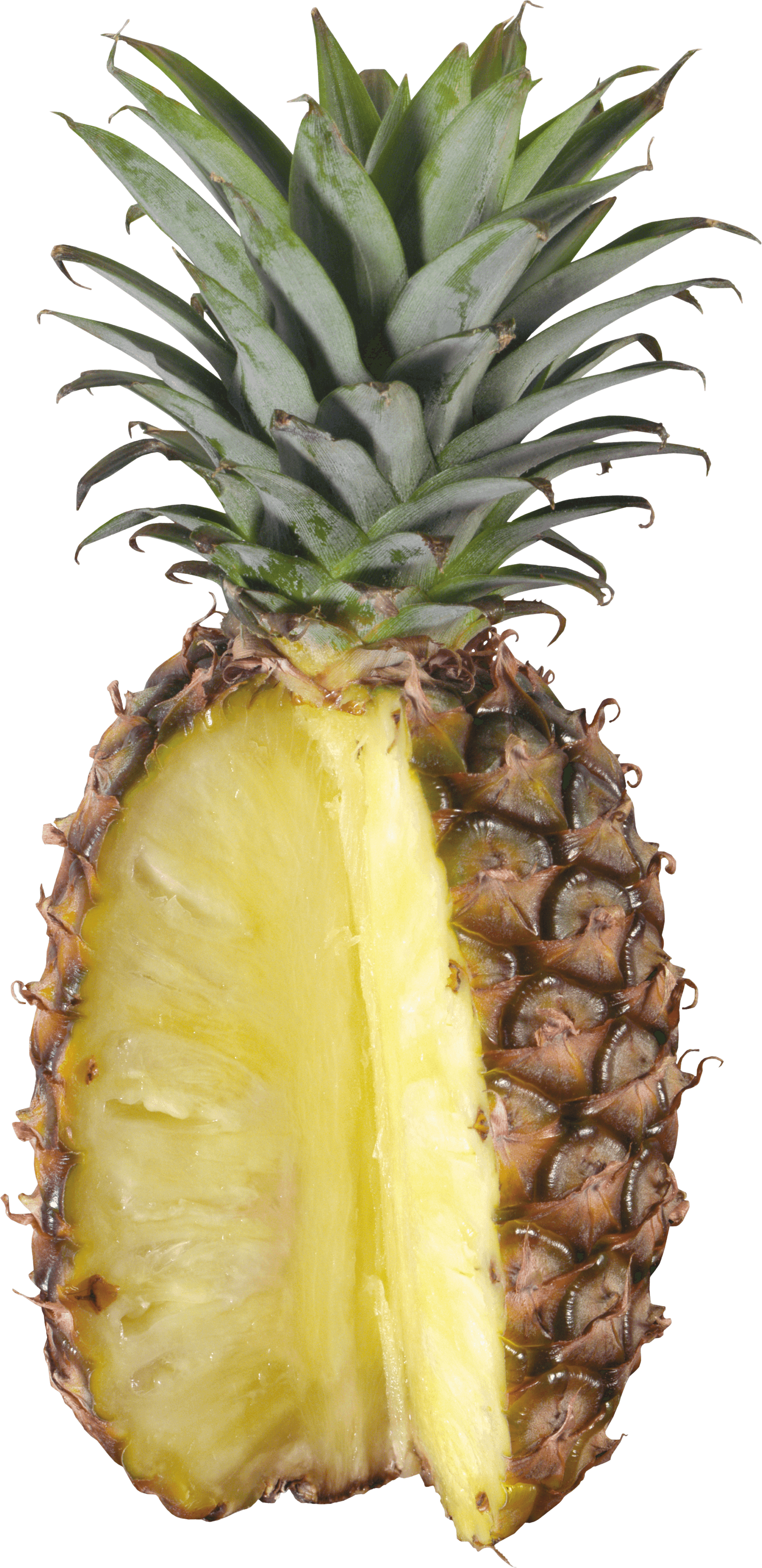 Pineapple Png Image Download PNG Image