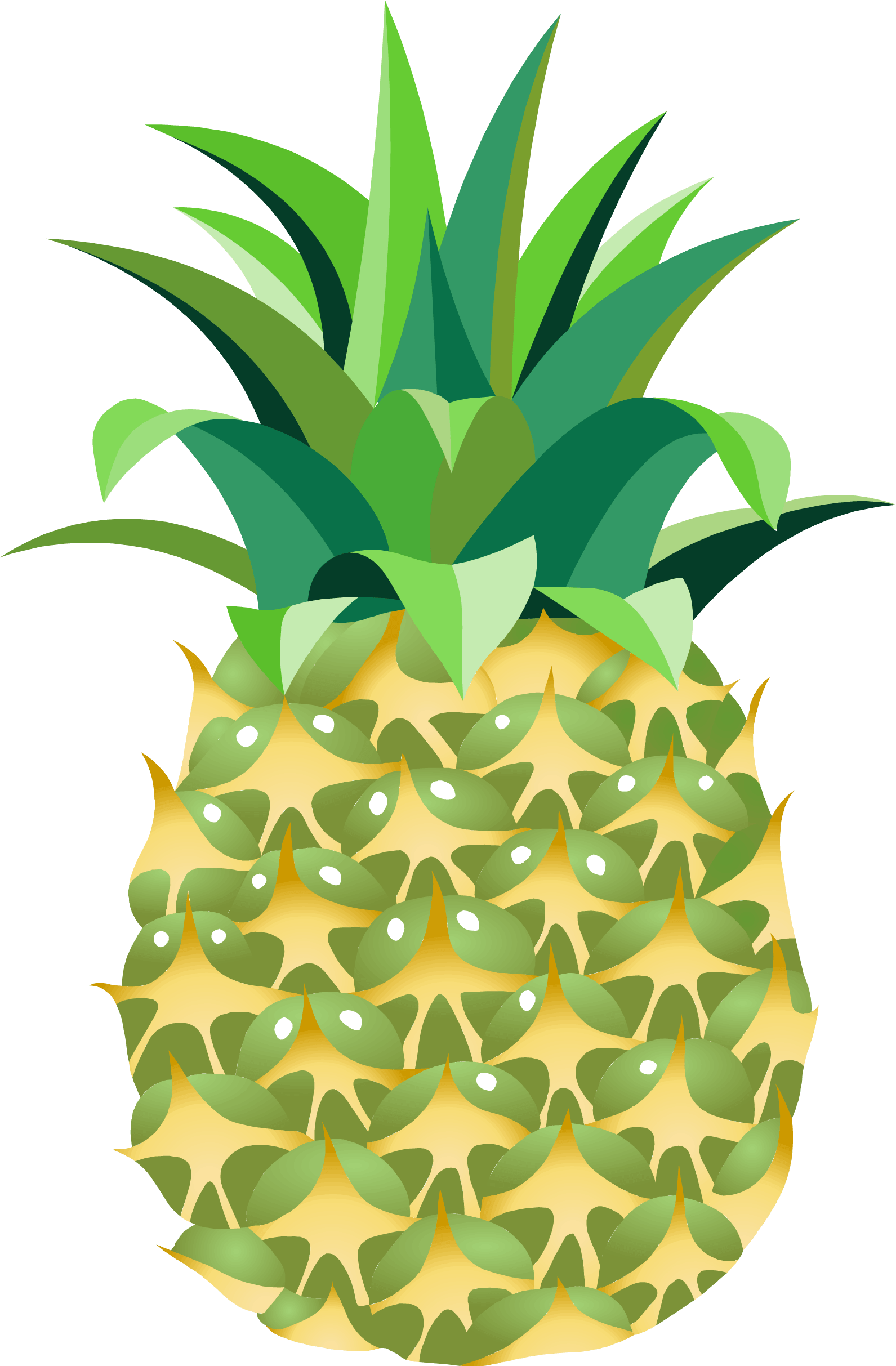 Pineapple Png Image Download PNG Image