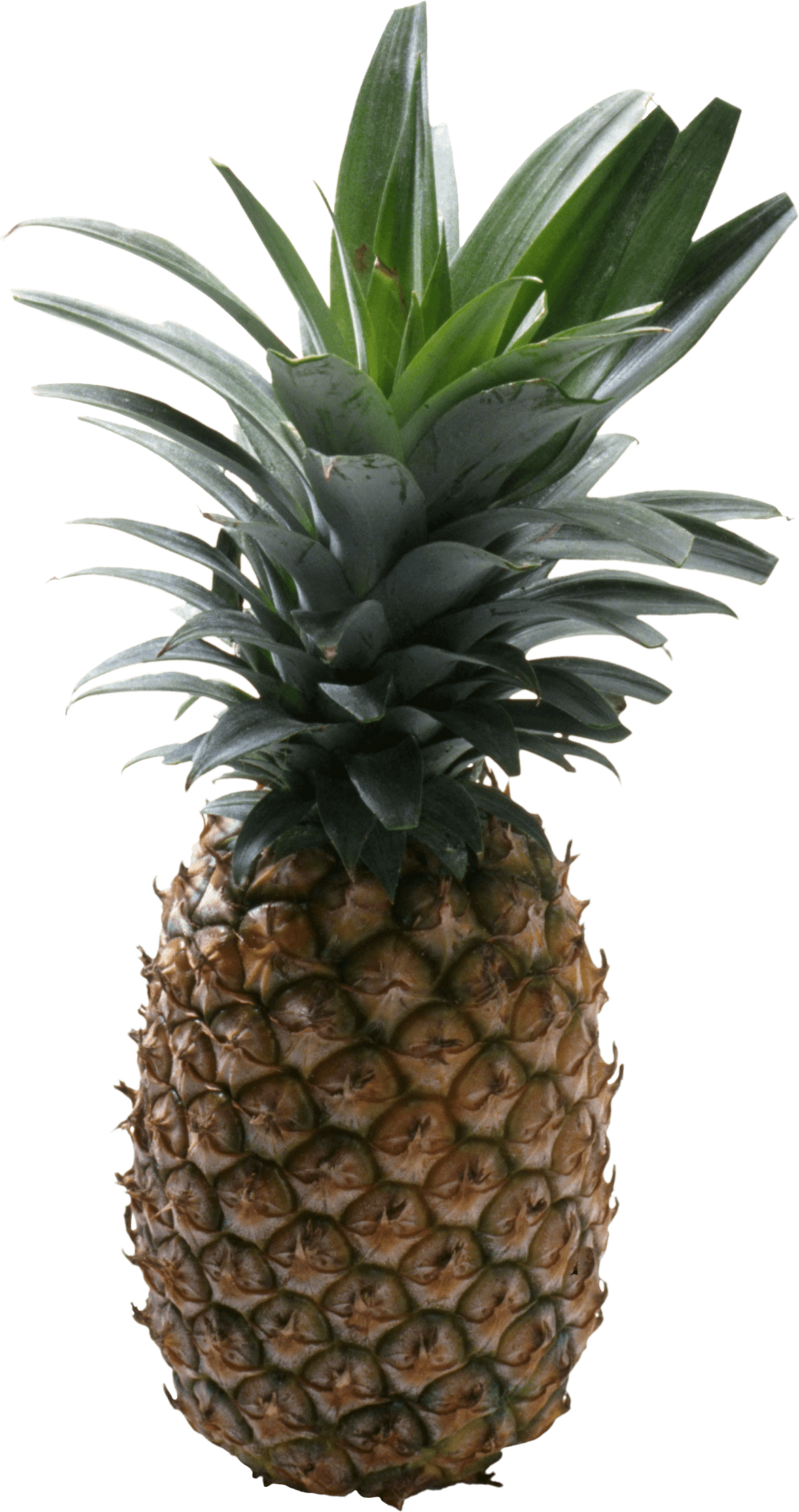 Pineapple Fruit Png Image PNG Image
