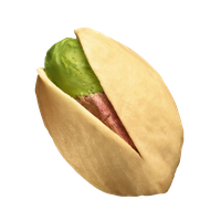 Download Pistachio Free PNG photo images and clipart | FreePNGImg