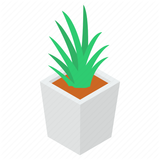 Vera Potted Aloe PNG Free Photo PNG Image