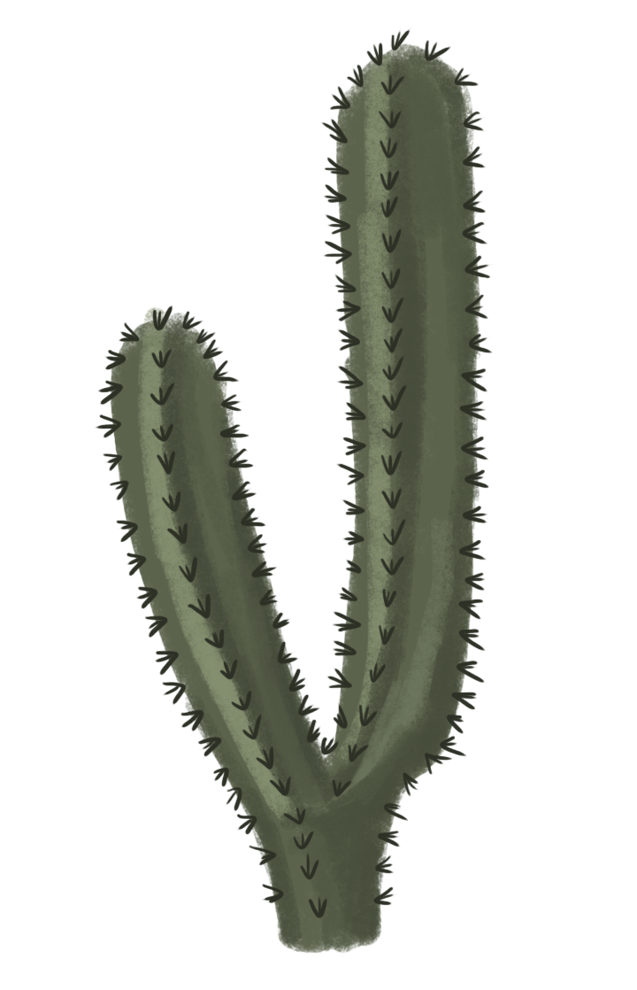Cactus Clipart PNG Image