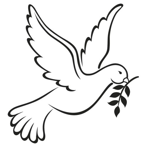 Columbidae Peace Symbols As Beak White Doves PNG Image