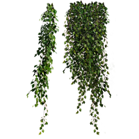 download plants free png photo images and clipart freepngimg download plants free png photo images