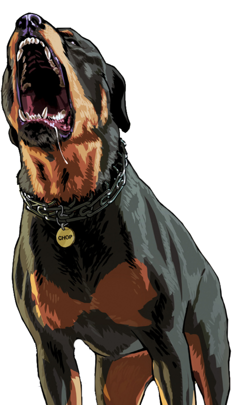 Rottweiler Andreas San Carnivoran Auto Chinatown Wars PNG Image