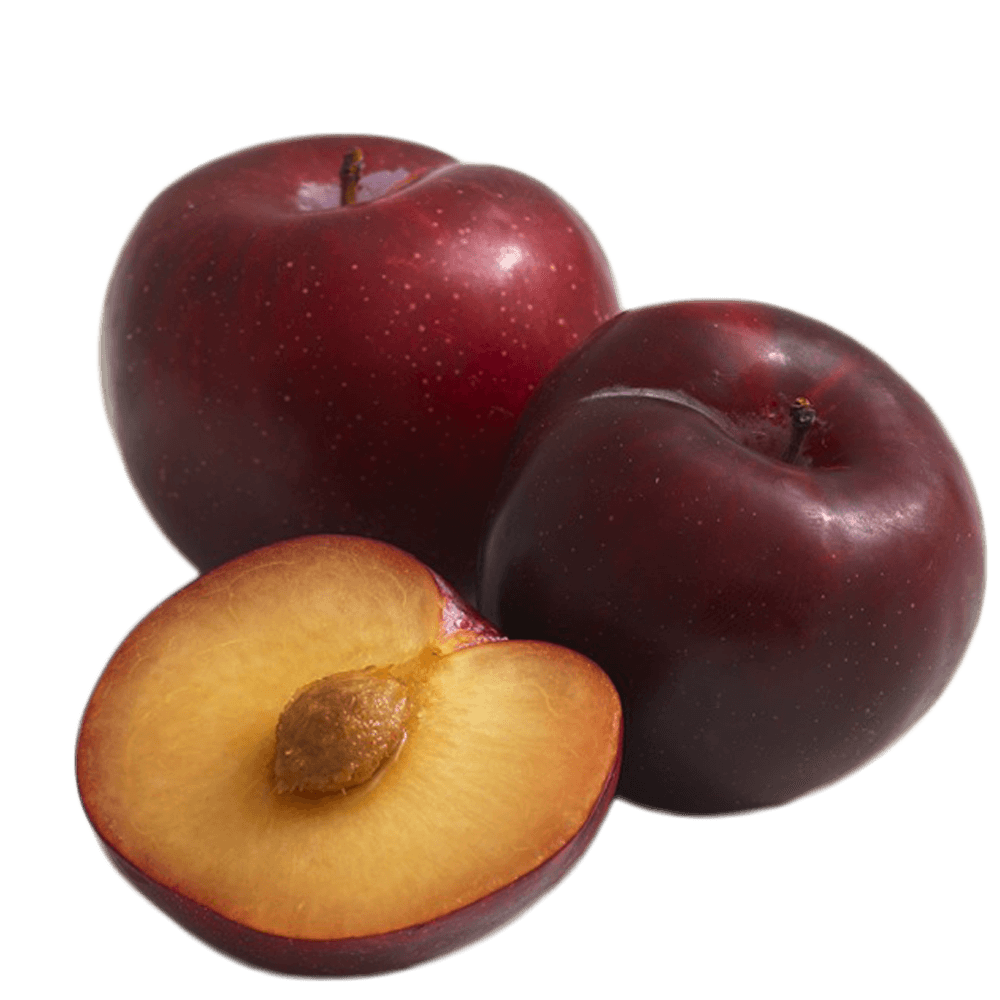Plum Picture PNG Image