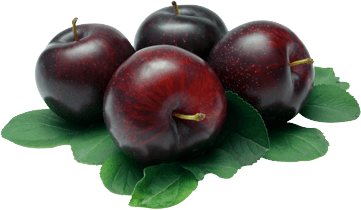 Plum Png Image PNG Image