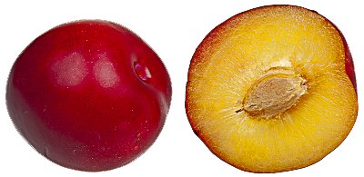 Plum Clipart PNG Image