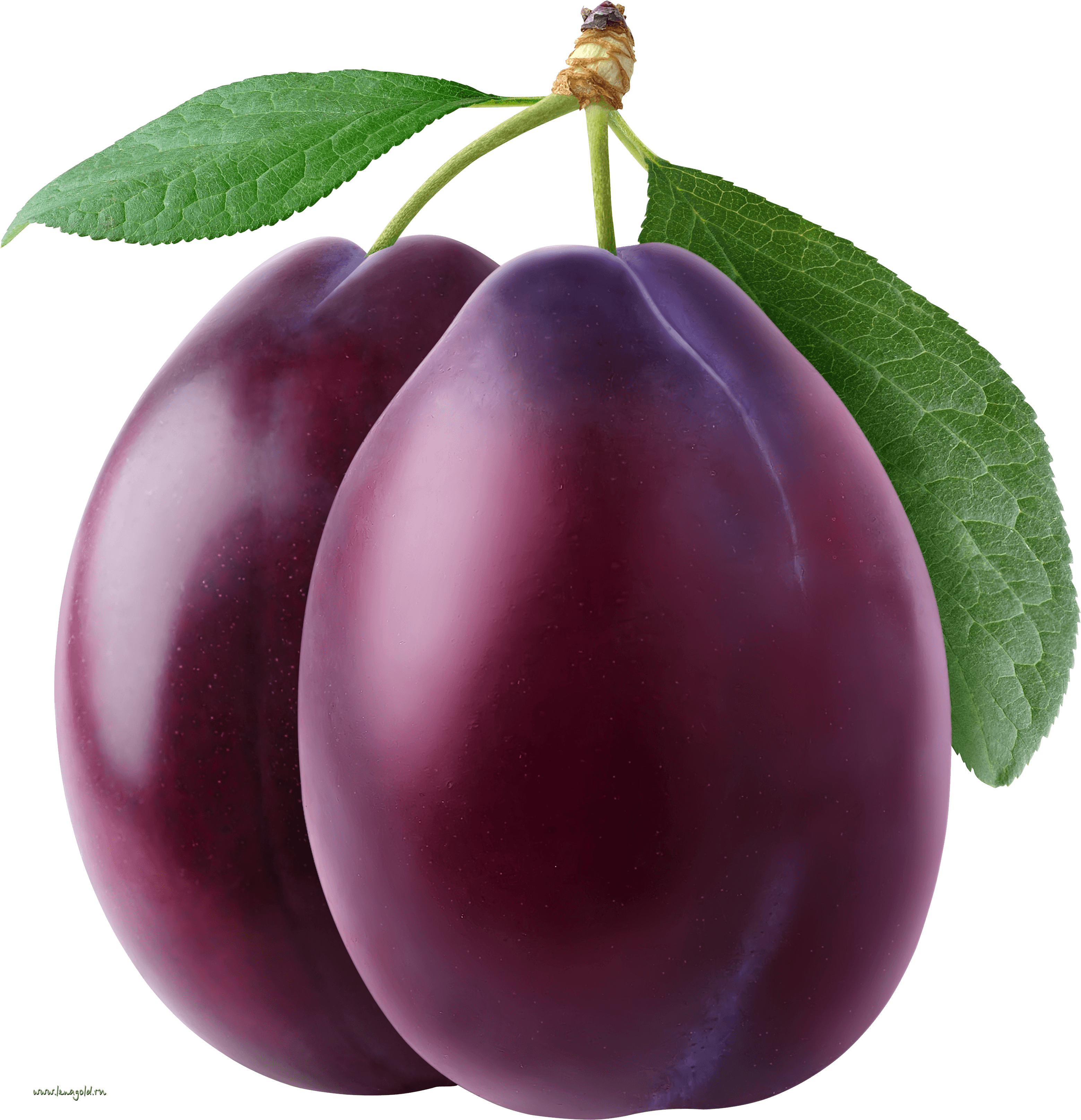 Plum Png Image PNG Image