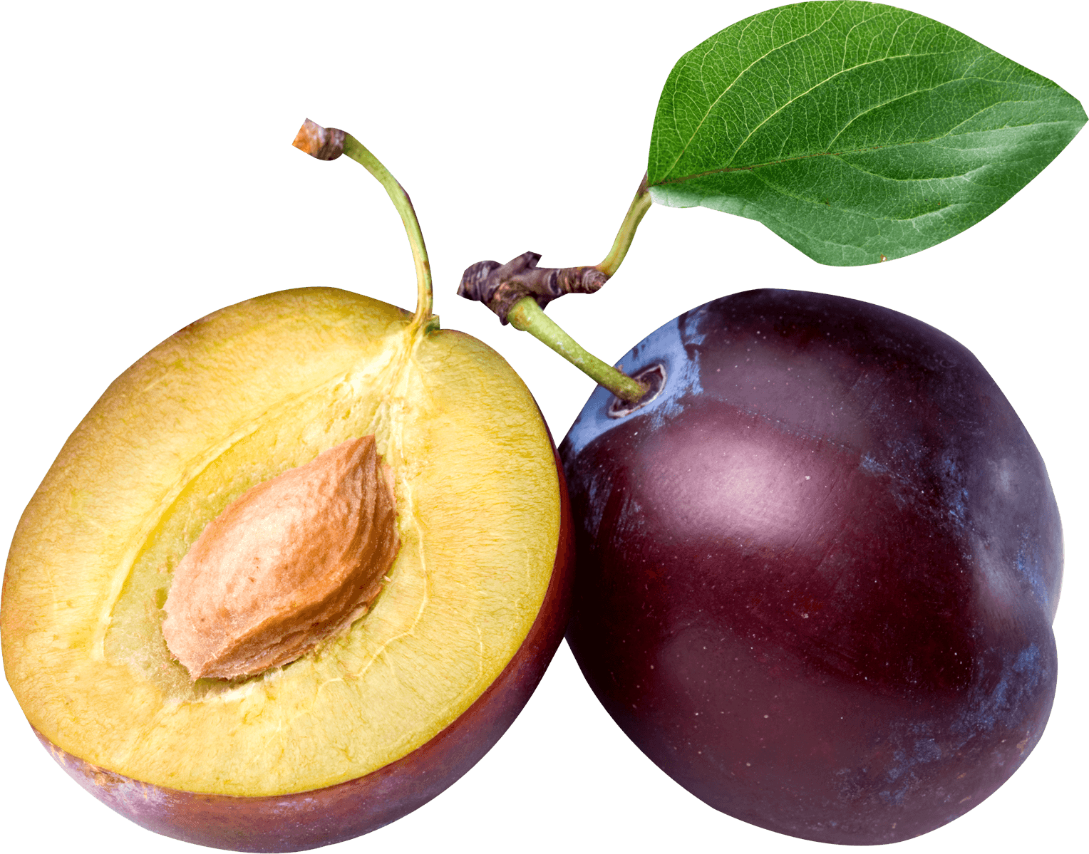 Plum Png Image PNG Image