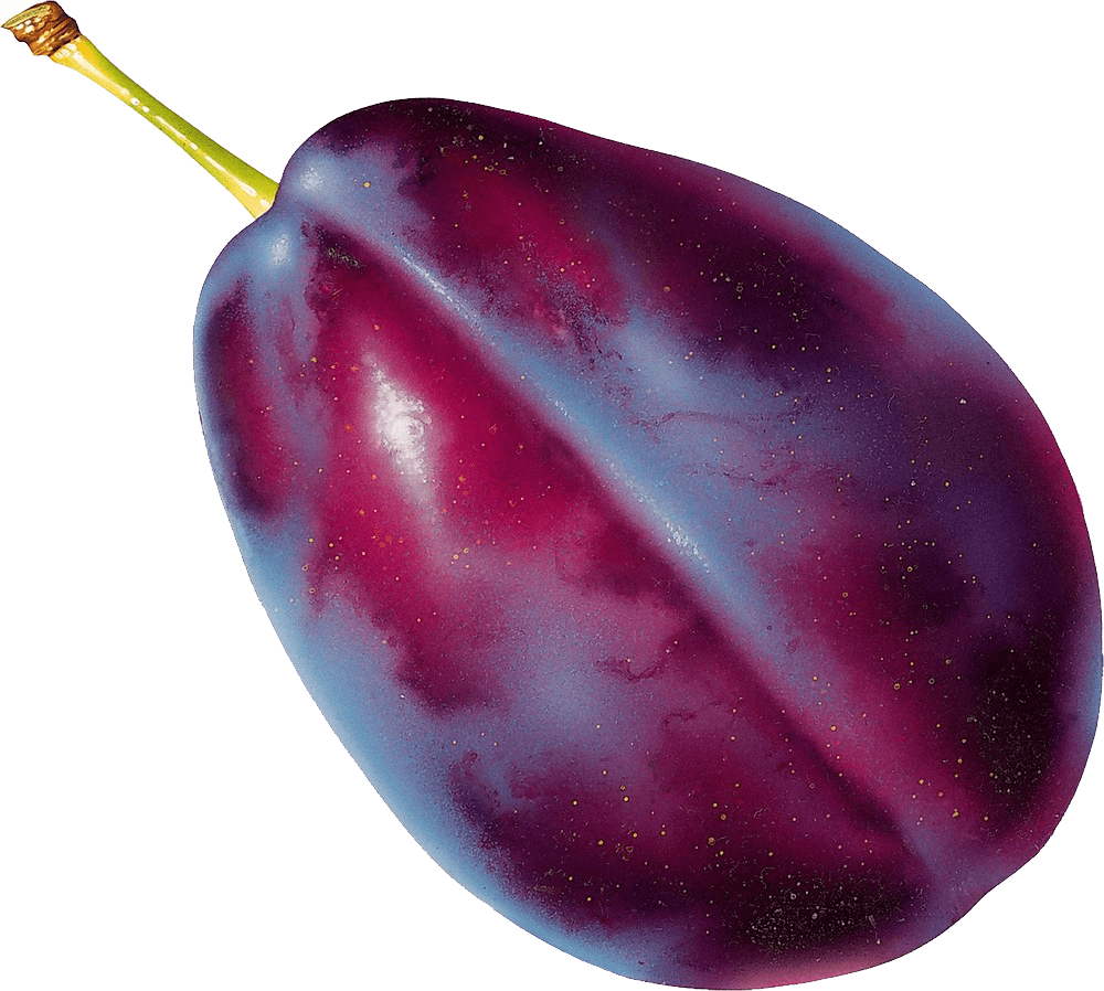 Plum Png Image PNG Image