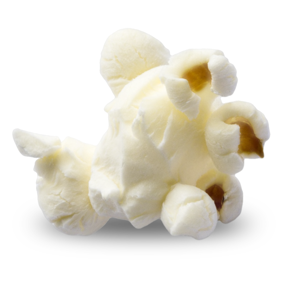 Popcorn Photos PNG Image