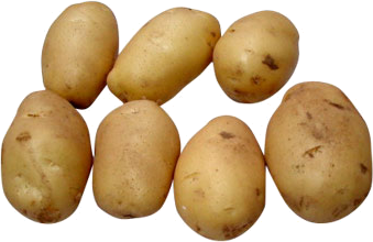 Potato Png Hd PNG Image