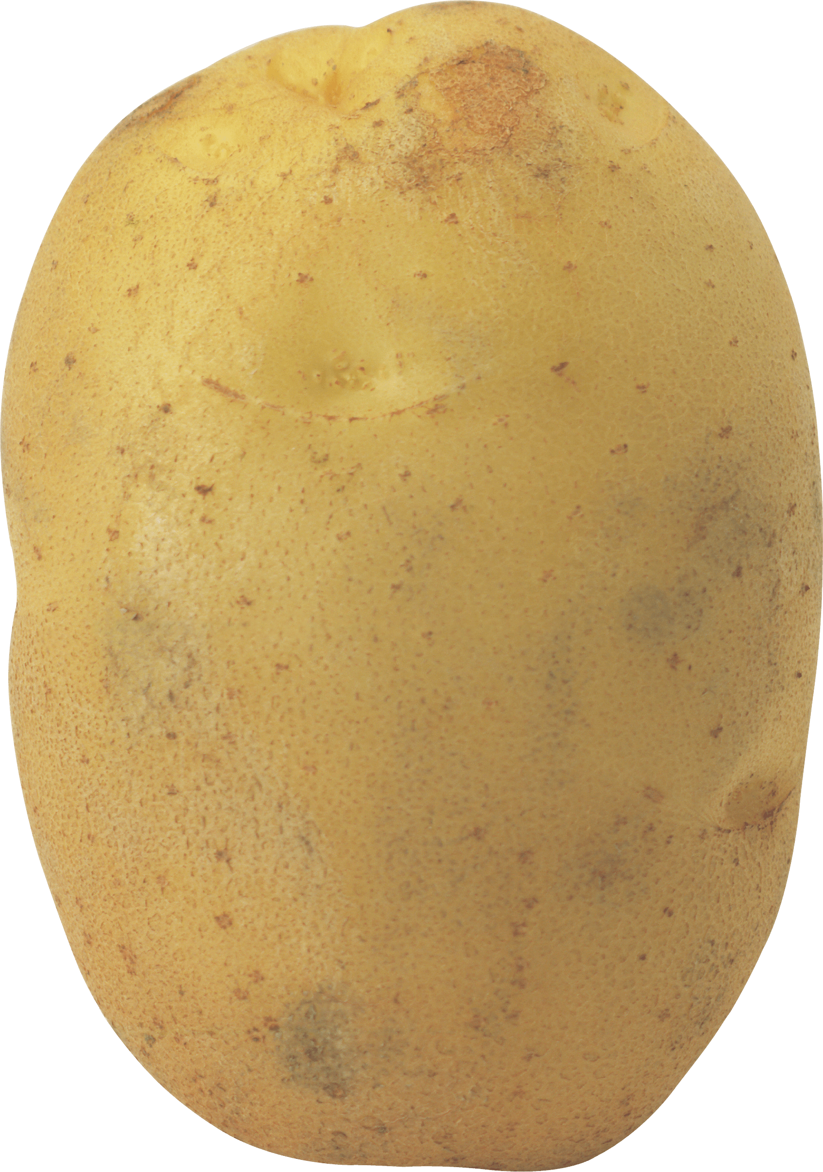 Potato Photos PNG Image