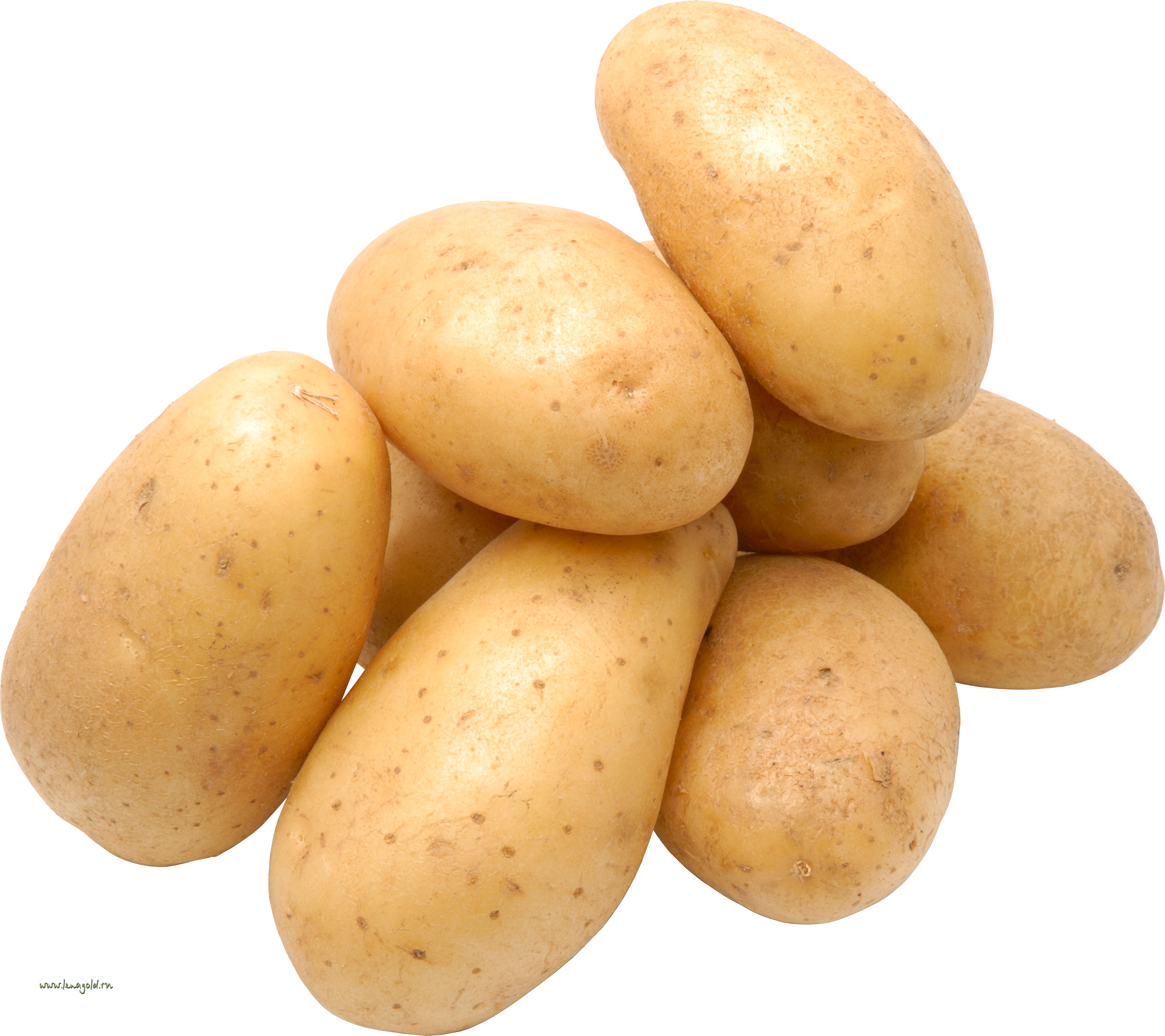 Potato Png Picture PNG Image