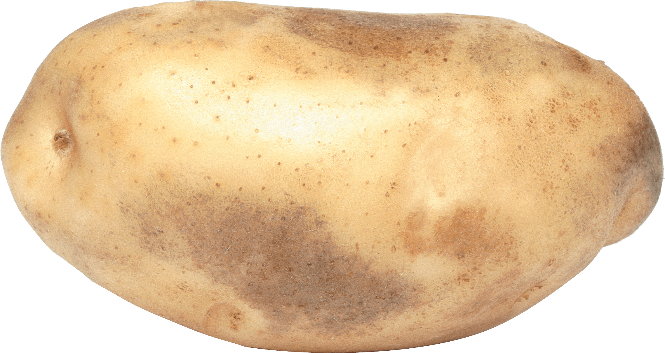 Potato Png Images PNG Image