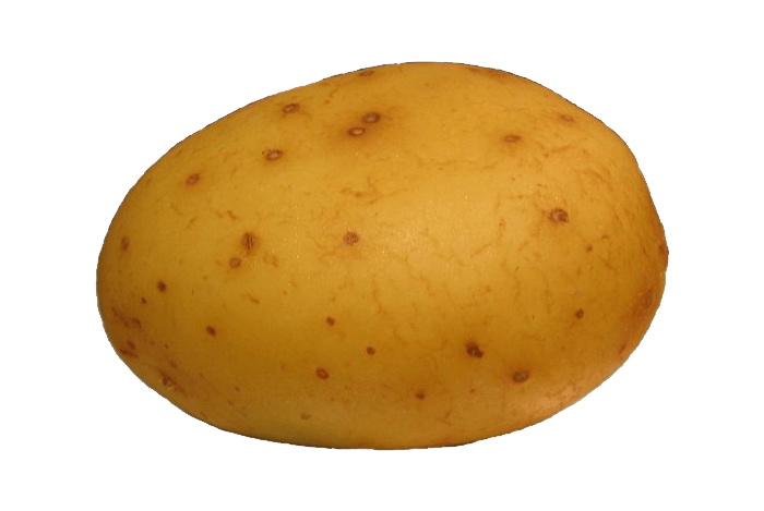 Potato Png Images Pictures Download PNG Image