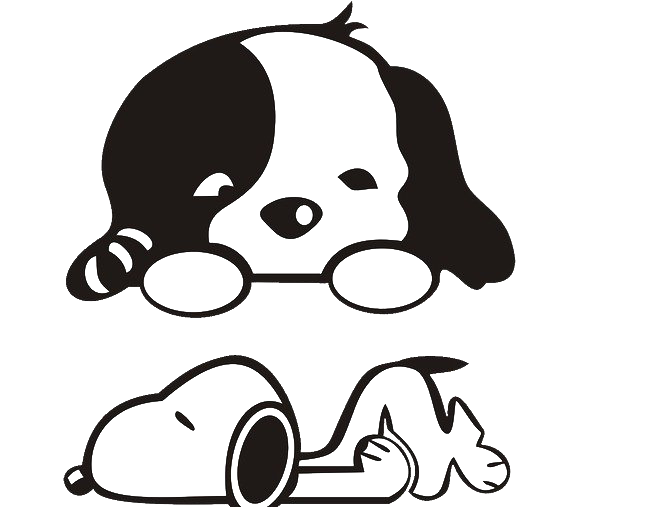 And White Puppy Black Pic PNG Image