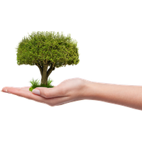Grow Download Image Free Transparent Image HQ