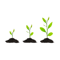 Grow Image HD Image Free PNG