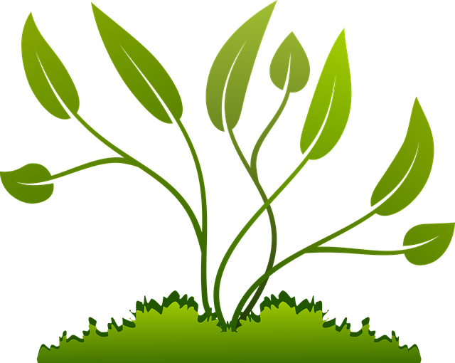 Grow PNG File HD PNG Image