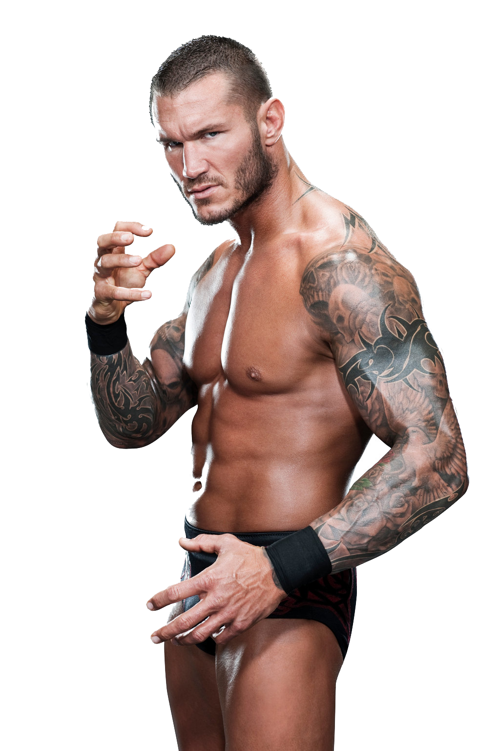 Randy Orton Png File PNG Image from Sports Randy Orton. 