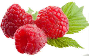Raspberry Png File PNG Image