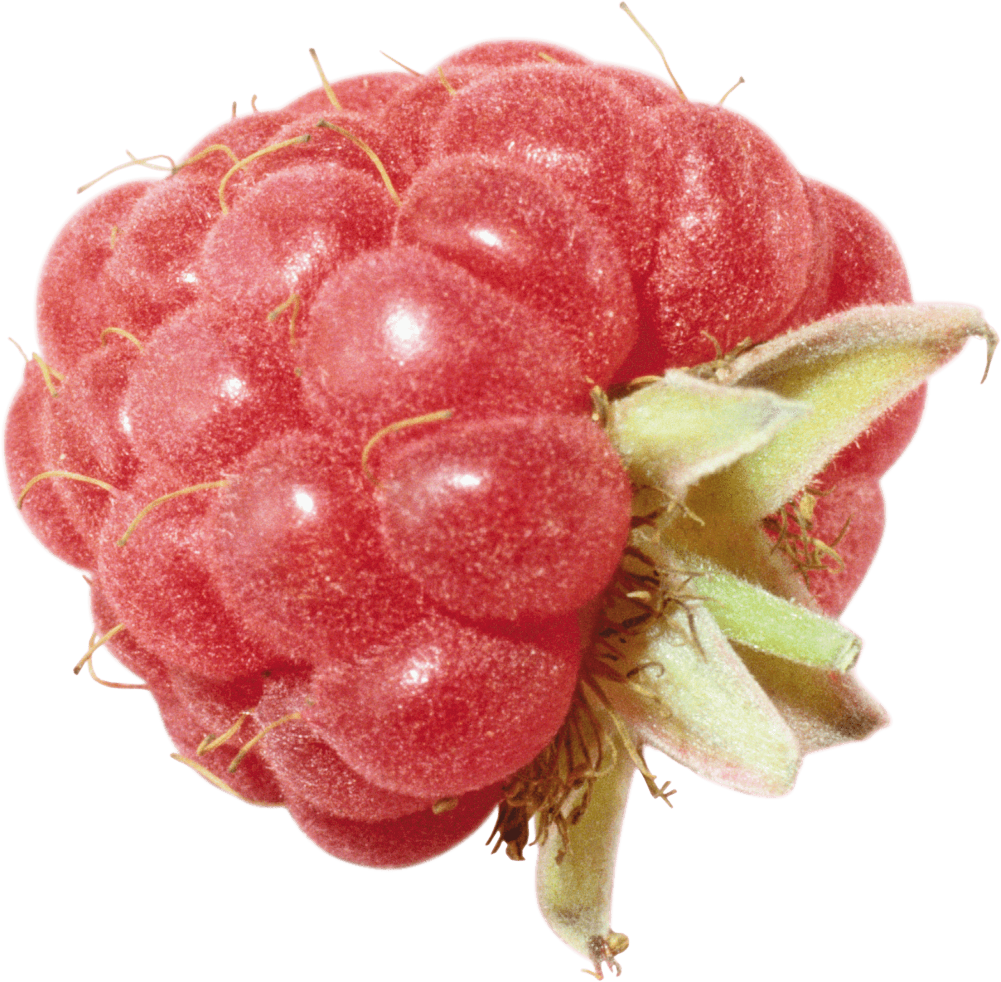 Rraspberry Png Image PNG Image