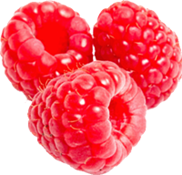 Raspberry Png Pic PNG Image