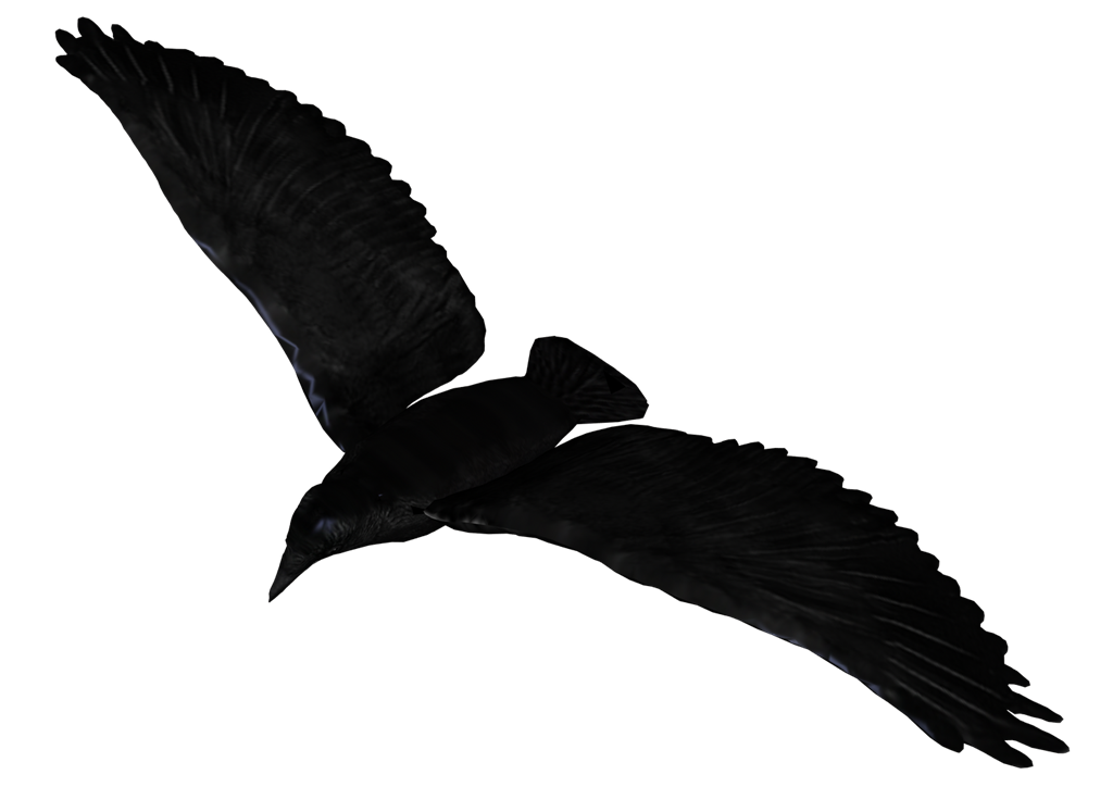 Raven Flying PNG Image
