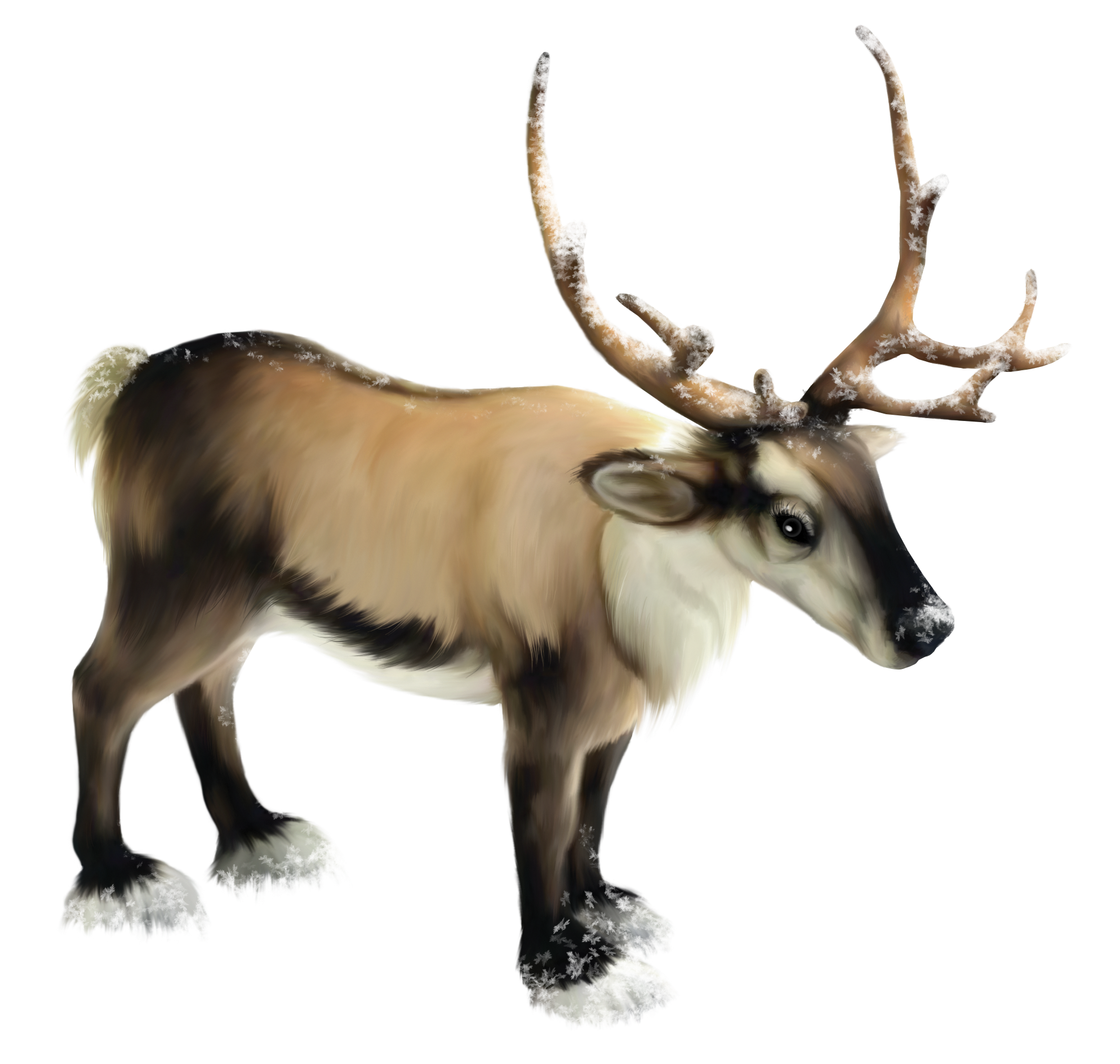 Reindeer Png Clipart PNG Image