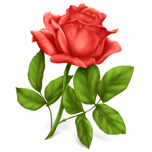 Pink Rose Png Image Picture Download PNG Image