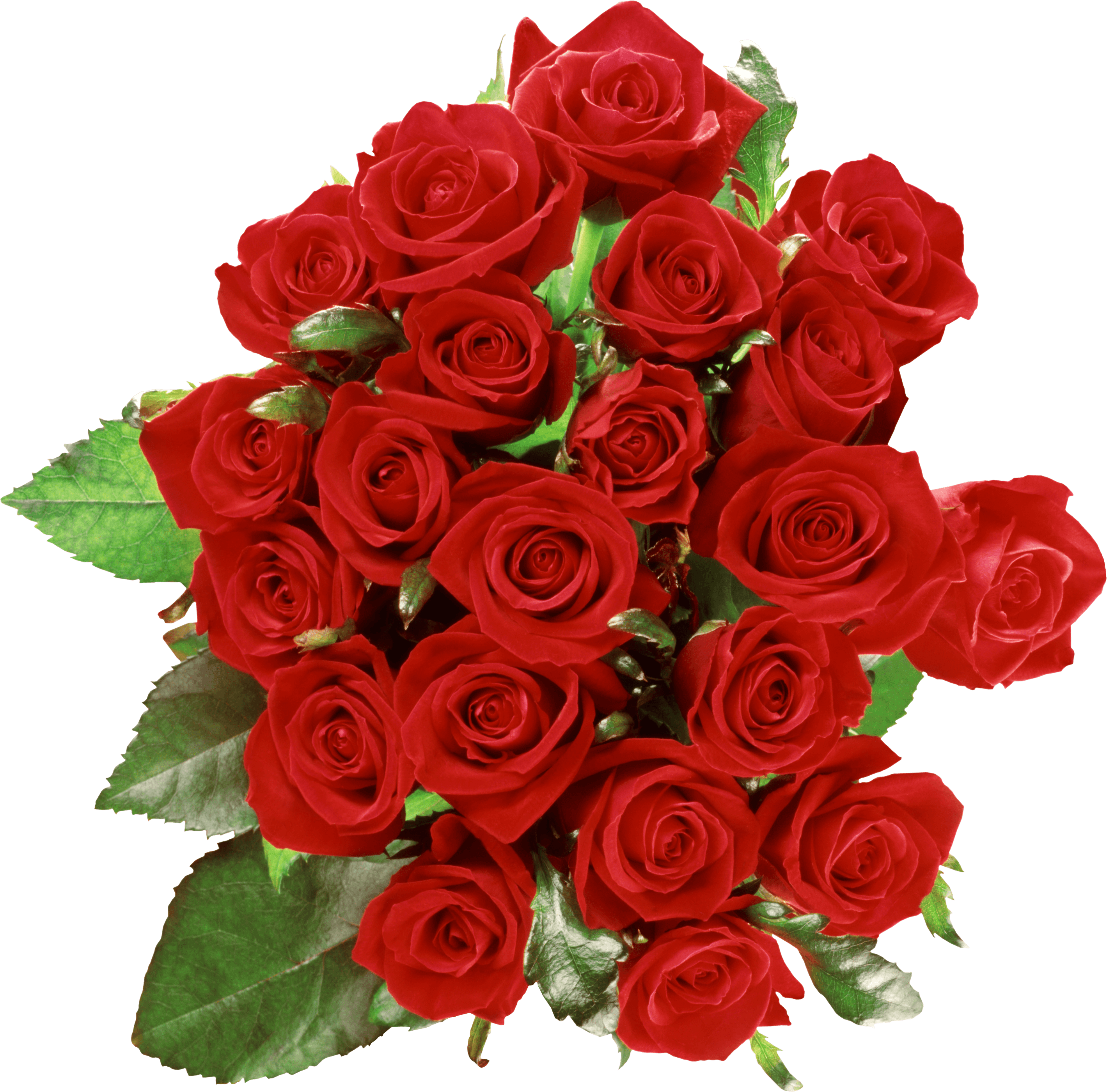 Bouquet Rose Red Free HQ Image PNG Image