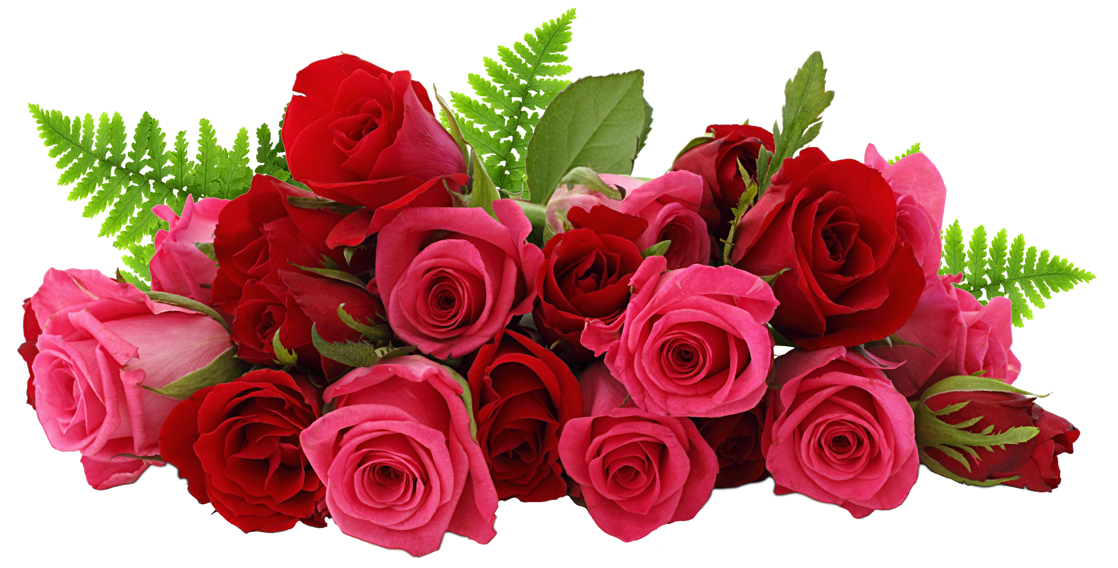 Bouquet Rose Bunch Free Download Image PNG Image