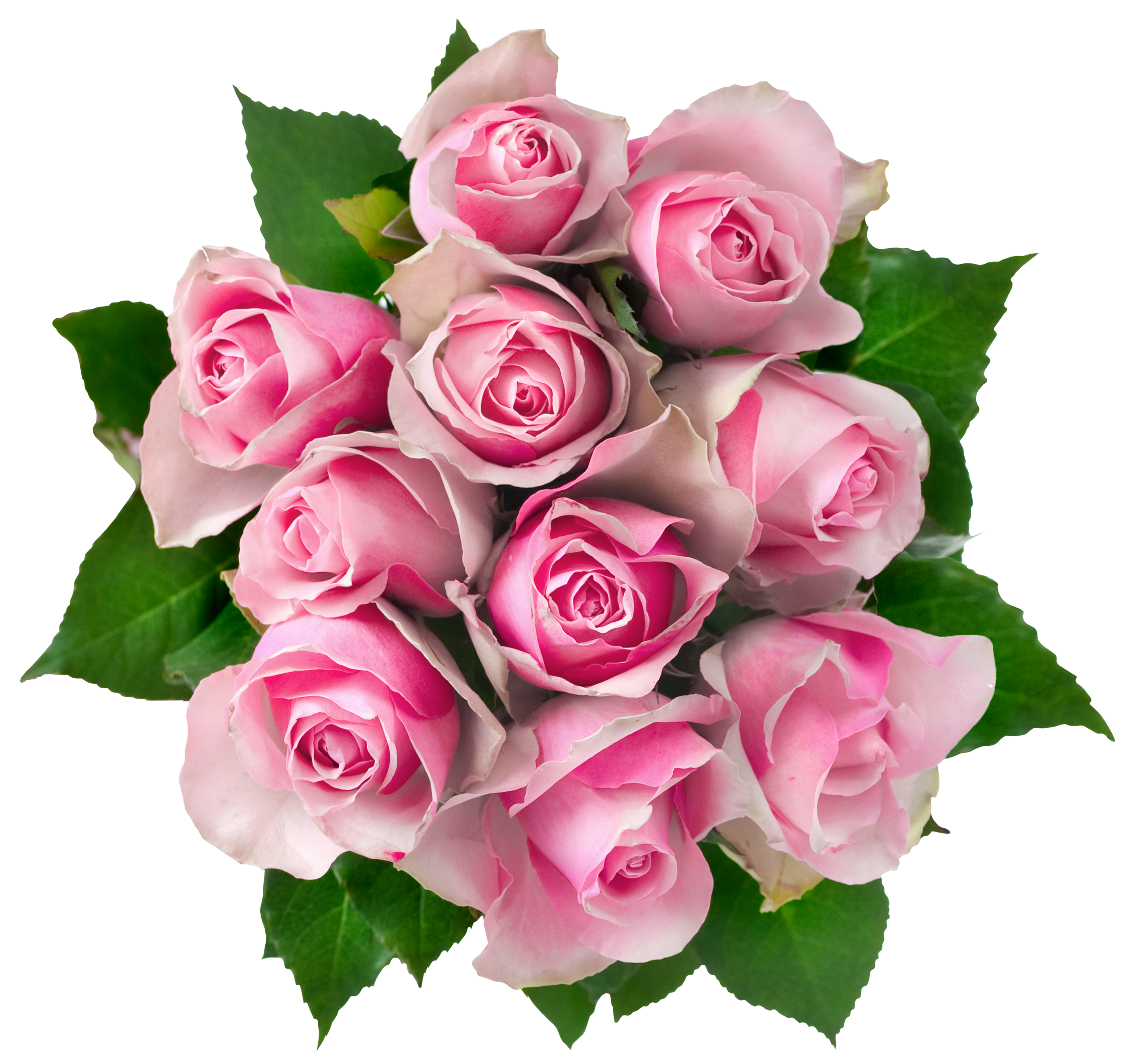 Bouquet Rose Valentine Download HD PNG Image