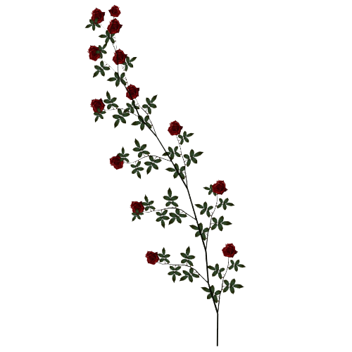 Rose Vine Clipart PNG Image