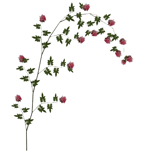 Rose Vine File PNG Image
