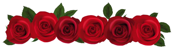 Red Rose File PNG Image