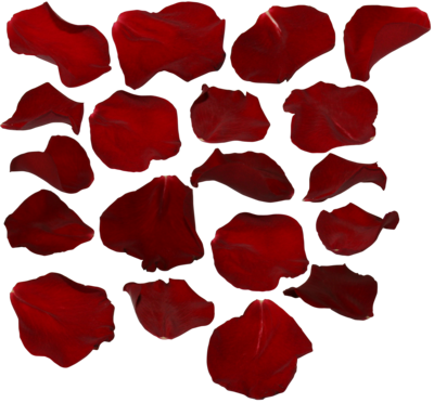Rose Petals Transparent PNG Image